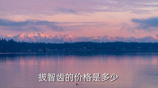 拔智齒的價格是多少
