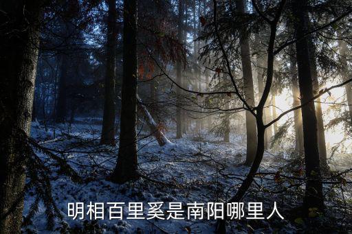 明相百里奚是南陽哪里人