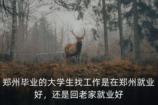 鄭州畢業去哪里找工作,應屆生想去鄭州找工作