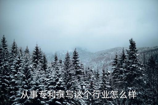 從事專利撰寫這個行業怎么樣