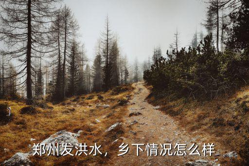 鄭州發洪水，鄉下情況怎么樣