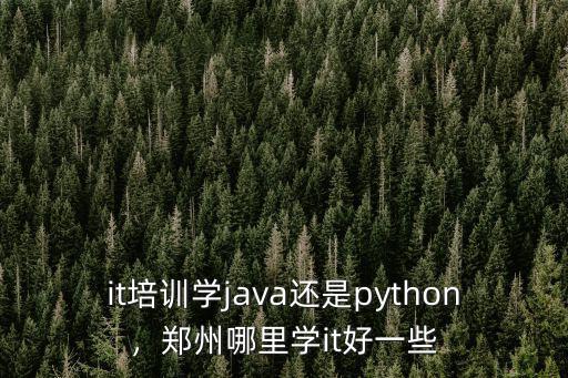 it培訓(xùn)學(xué)java還是python，鄭州哪里學(xué)it好一些