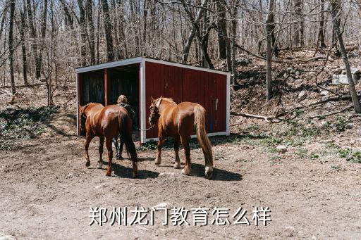 鄭州一鳴教育怎么樣,鄭州龍門教育怎么樣
