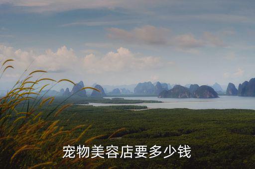 寵物美容店要多少錢