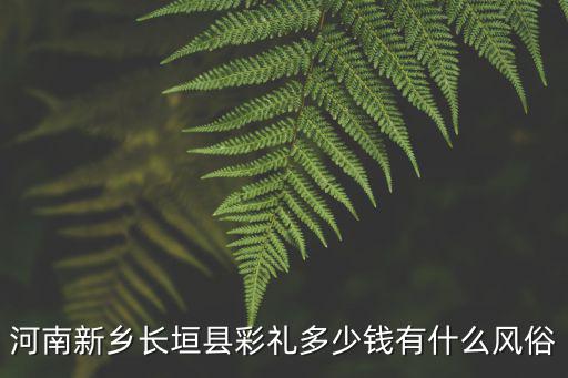 河南新鄉長垣縣彩禮多少錢有什么風俗