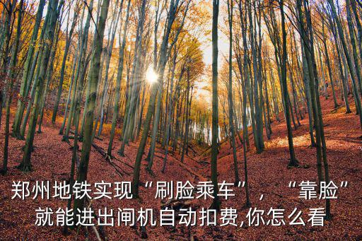 鄭州地鐵實現“刷臉乘車”，“靠臉”就能進出閘機自動扣費,你怎么看