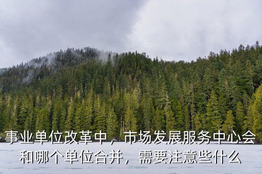 商丘市市場發展服務中心怎么改革,這次市場發展中心將如何改革