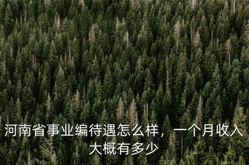 河南省事業編待遇怎么樣，一個月收入大概有多少