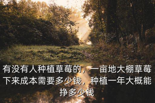 有沒(méi)有人種植草莓的，一畝地大棚草莓下來(lái)成本需要多少錢，種植一年大概能掙多少錢