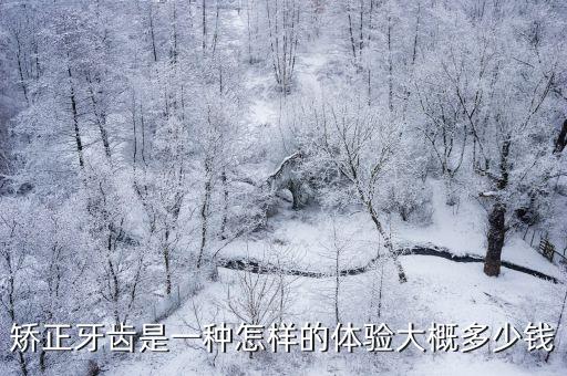 矯正牙齒是一種怎樣的體驗大概多少錢