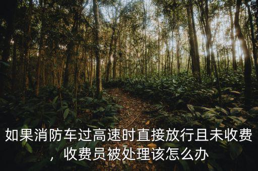 如果消防車過(guò)高速時(shí)直接放行且未收費(fèi)，收費(fèi)員被處理該怎么辦