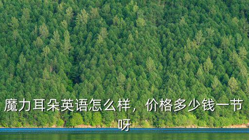 魔力耳朵英語怎么樣，價格多少錢一節呀