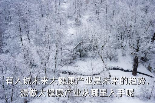 有人說未來大健康產業是未來的趨勢，想做大健康產業從哪里入手呢