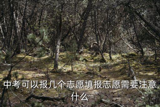 中考可以報(bào)幾個(gè)志愿填報(bào)志愿需要注意什么