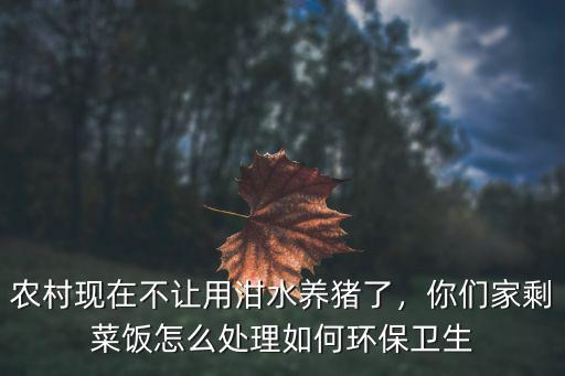 農村現在不讓用泔水養豬了，你們家剩菜飯怎么處理如何環保衛生