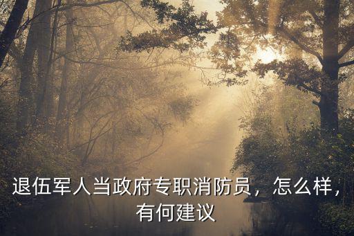 退伍軍人當(dāng)政府專職消防員，怎么樣，有何建議