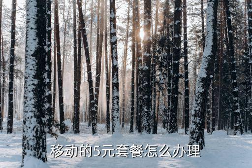 移動的5元套餐怎么辦理