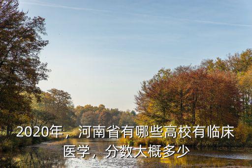 2020年，河南省有哪些高校有臨床醫學，分數大概多少