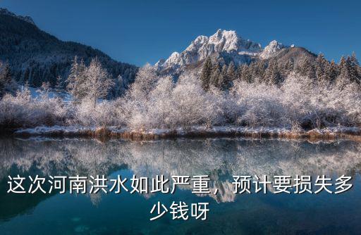 這次河南洪水如此嚴重，預計要損失多少錢呀