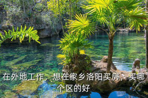 在外地工作，想在家鄉(xiāng)洛陽(yáng)買(mǎi)房，買(mǎi)哪個(gè)區(qū)的好