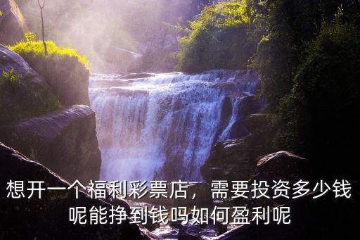 想開(kāi)一個(gè)福利彩票店，需要投資多少錢呢能掙到錢嗎如何盈利呢