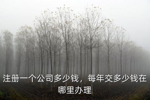注冊(cè)一個(gè)公司多少錢，每年交多少錢在哪里辦理
