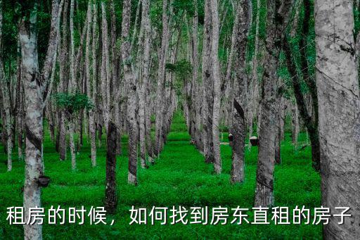 開封租房怎么找房東直租,如何找到房東直租的房子