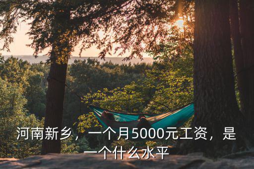 河南新鄉，一個月5000元工資，是一個什么水平