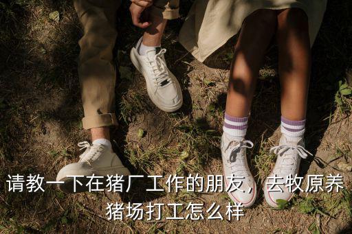 請教一下在豬廠工作的朋友，去牧原養(yǎng)豬場打工怎么樣