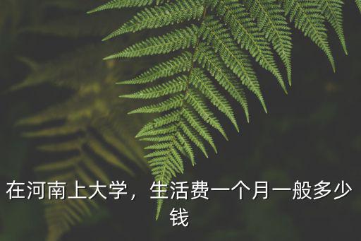 在河南上大學，生活費一個月一般多少錢