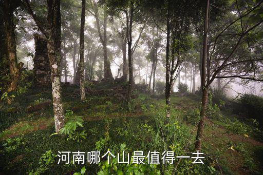 河南哪個(gè)山最值得一去