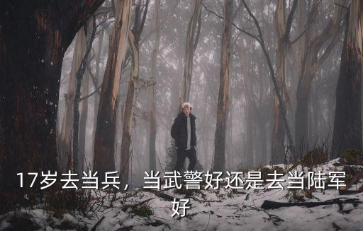 去河南信陽當武警怎么樣,在武警中隊當文書怎么樣