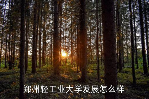 鄭州輕工業(yè)大學(xué)發(fā)展怎么樣