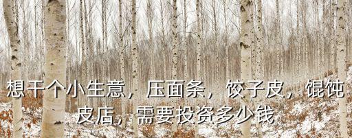 想干個小生意，壓面條，餃子皮，餛飩皮店，需要投資多少錢