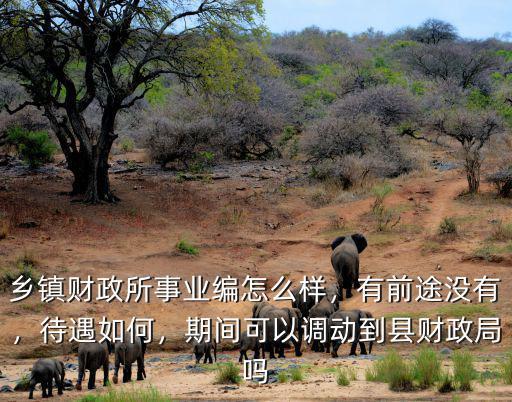 鄉(xiāng)鎮(zhèn)財政所事業(yè)編怎么樣，有前途沒有，待遇如何，期間可以調(diào)動到縣財政局嗎