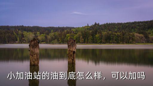 小加油站的油到底怎么樣，可以加嗎