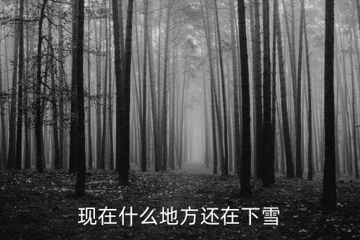 現(xiàn)在什么地方還在下雪