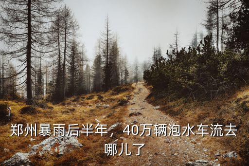 鄭州暴雨后半年，40萬輛泡水車流去哪兒了