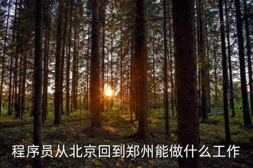 程序員從北京回到鄭州能做什么工作