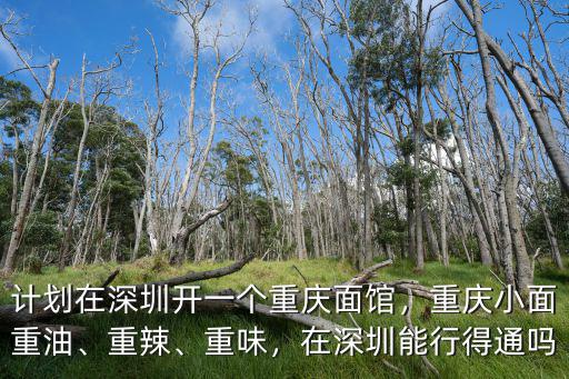 計(jì)劃在深圳開一個(gè)重慶面館，重慶小面重油、重辣、重味，在深圳能行得通嗎