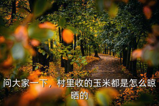 問大家一下，村里收的玉米都是怎么晾曬的