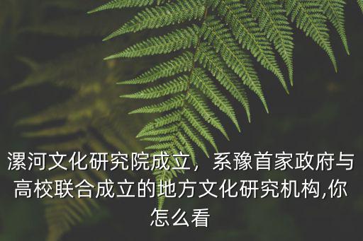 漯河文化研究院成立，系豫首家政府與高校聯(lián)合成立的地方文化研究機(jī)構(gòu),你怎么看