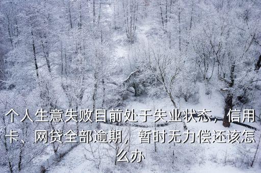 個人生意失敗目前處于失業(yè)狀態(tài)，信用卡、網(wǎng)貸全部逾期，暫時無力償還該怎么辦