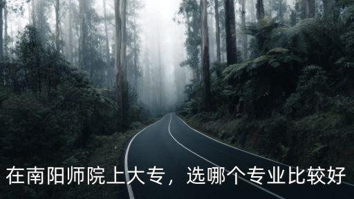 南陽師范學(xué)院物電專業(yè)怎么樣,南陽師范學(xué)院什么專業(yè)最好