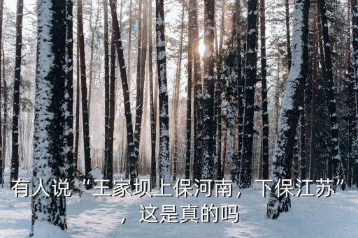 王家壩上保河南 保的是哪里,有人說王家壩上保河南