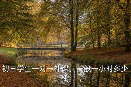 初三學(xué)生一對一補課，一般一小時多少錢