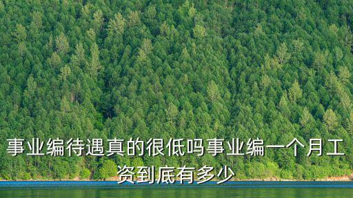 事業(yè)編待遇真的很低嗎事業(yè)編一個月工資到底有多少