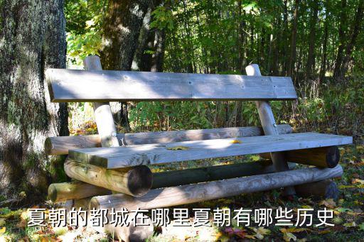 夏朝的都城在哪里夏朝有哪些歷史
