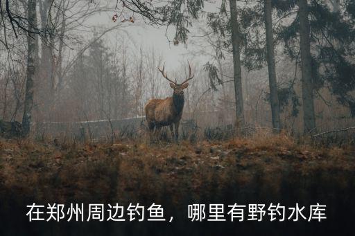 在鄭州周邊釣魚，哪里有野釣水庫