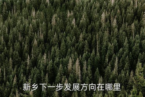 新鄉(xiāng)下一步發(fā)展方向在哪里